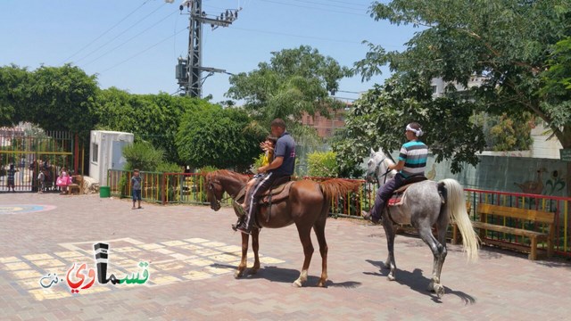 كفرقاسم - فيديو  : تعليم هواية ركوب الخيل في مدرسة جنة ابن رشد في اليوم الرابع لصيف الصادقة 